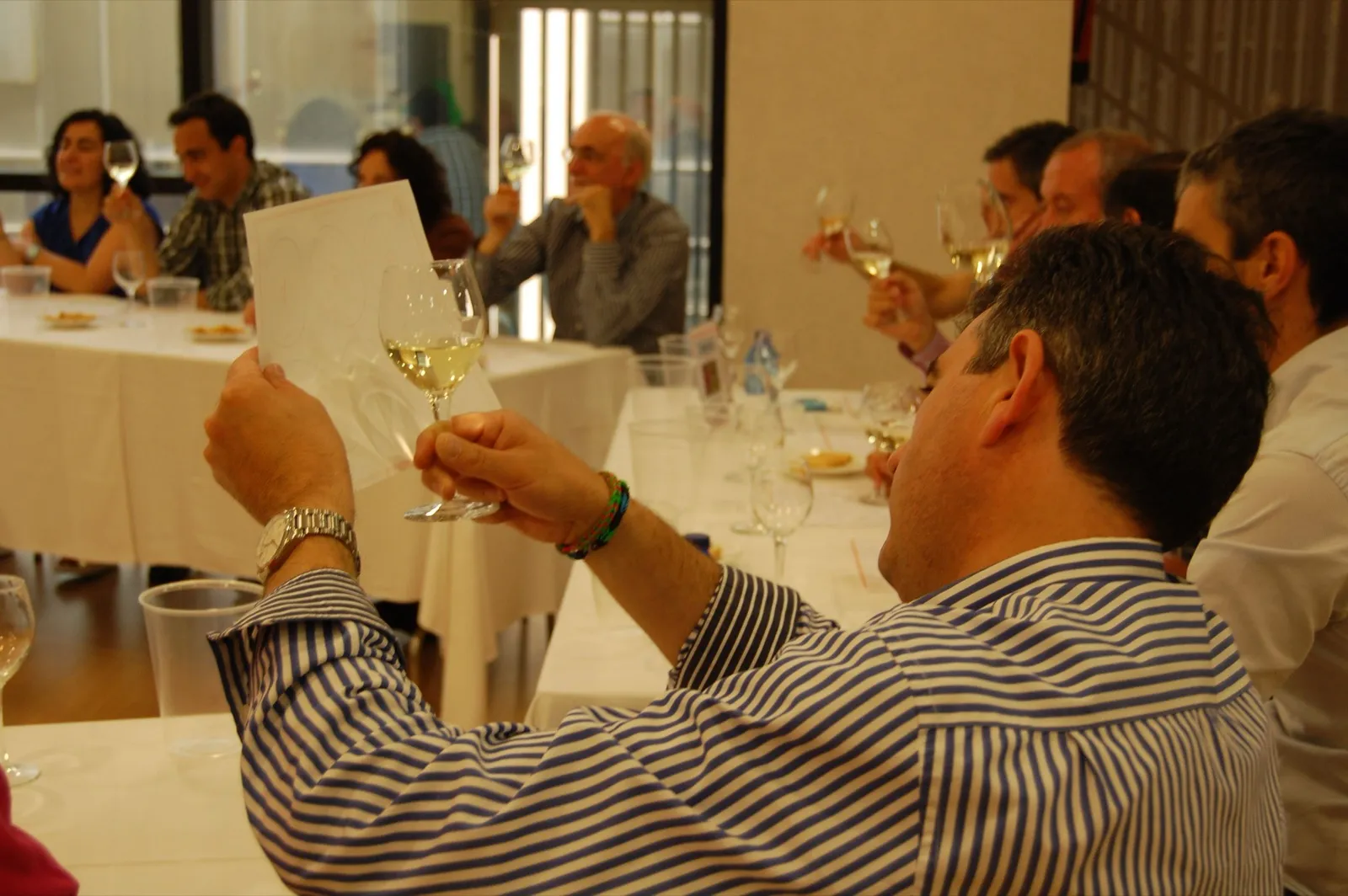 Wine Experience — foto 2